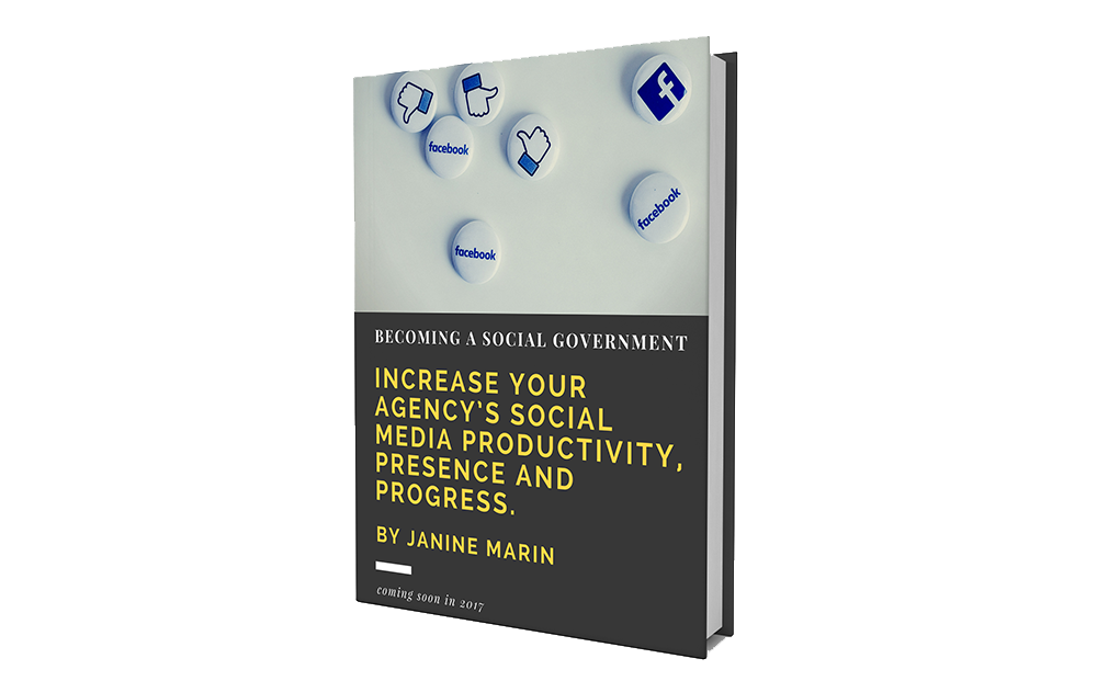 janine-marin-social-media-gov-book
